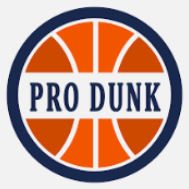 Pro Dunk Hoops